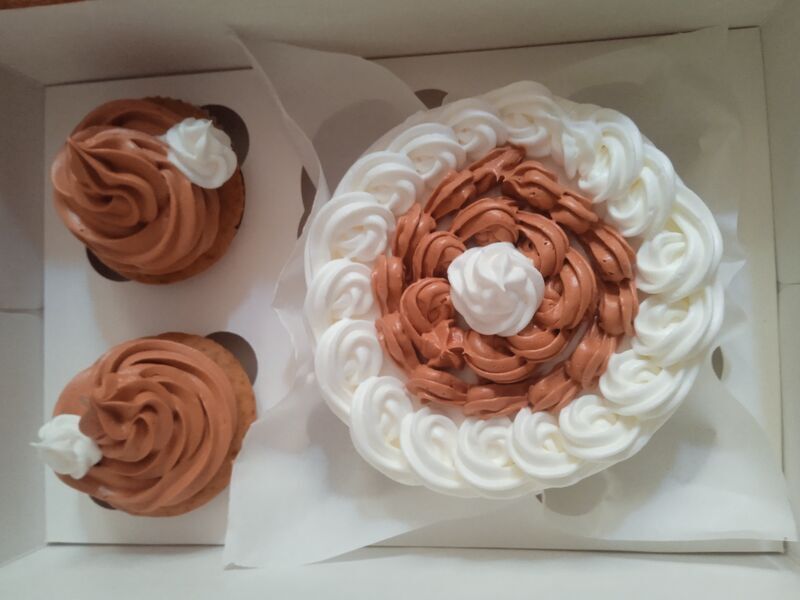 Bento Cupcake Brown