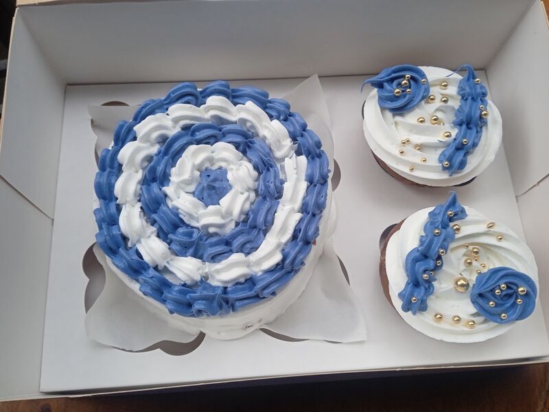 Bento Cupcake Blue